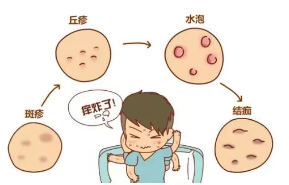 1761900135204917.png 图片3.png