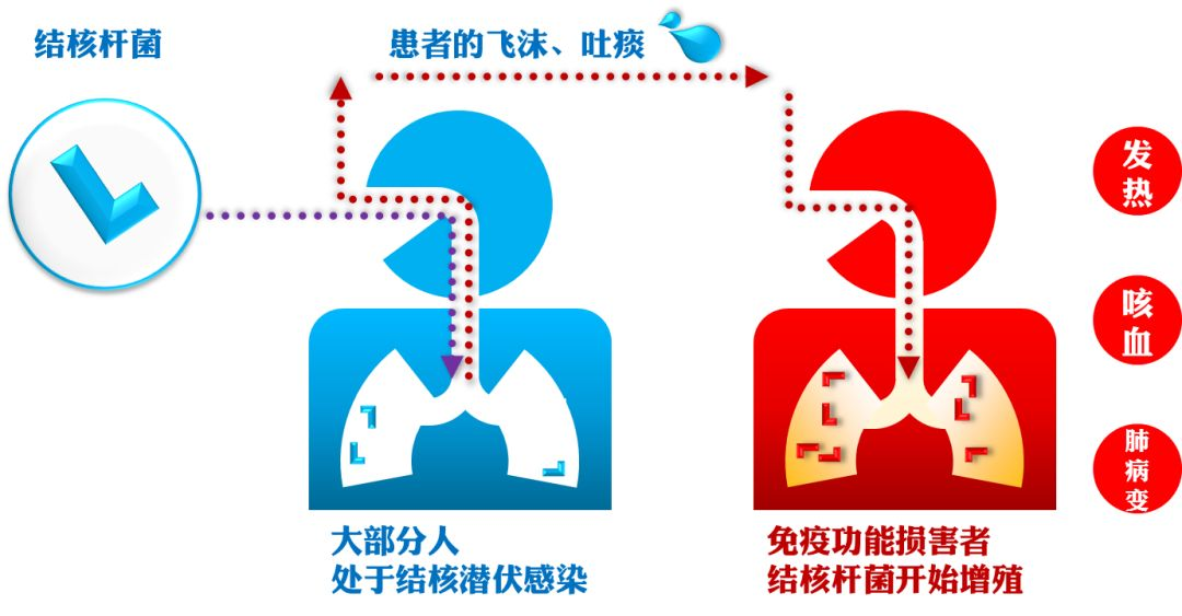 1694052489374892.png 图片1.png