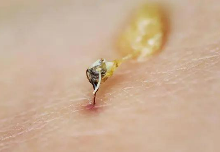 1747966369123002.png 1747966369123002.png