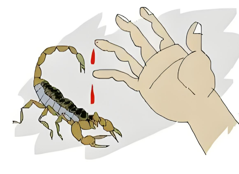 1747966417126022.png 1747966417126022.png