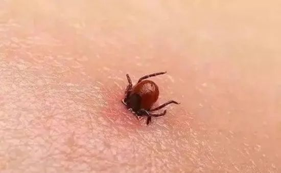 1747967500134792.png 图片6.png