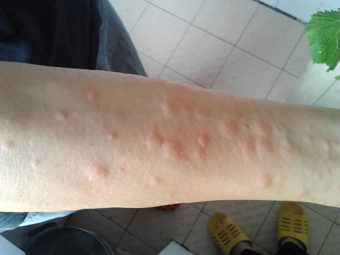 1747967789783694.png 1747967789783694.png