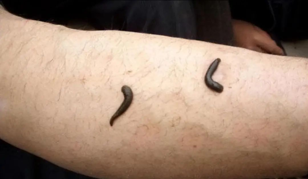 1747967811119258.png 1747967811119258.png