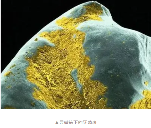 1761035988162229.png 1761035988162229.png